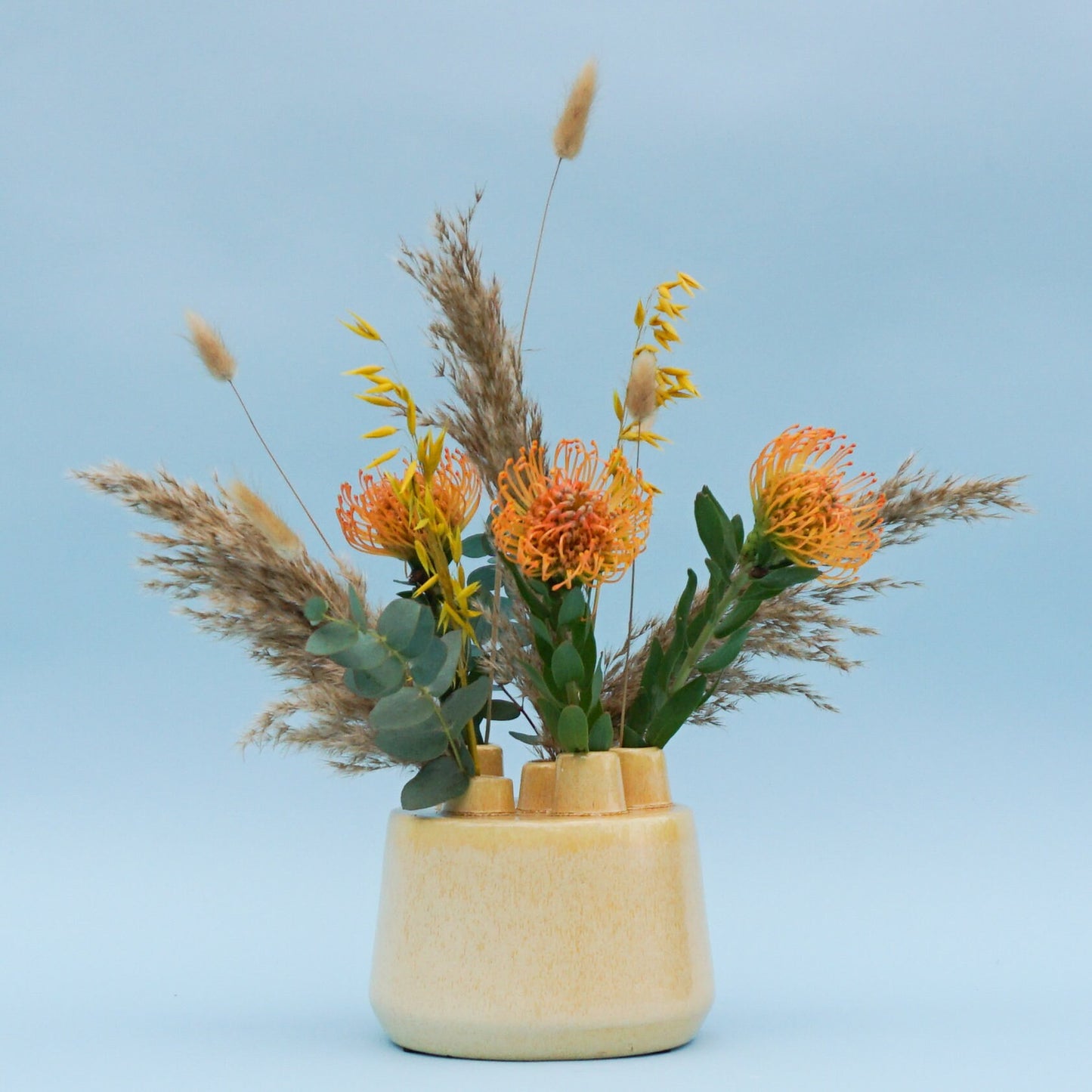 Sunchess Sunny - DIY