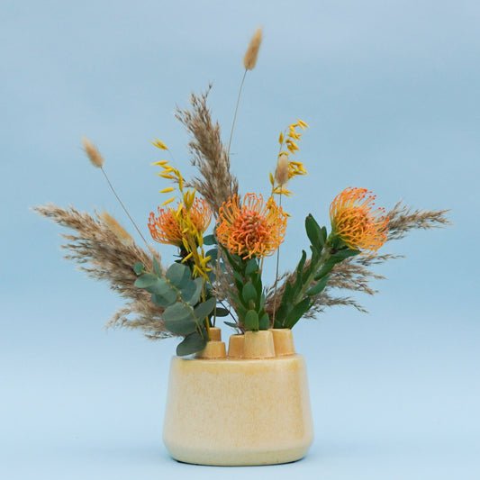 Sunchess Sunny - DIY