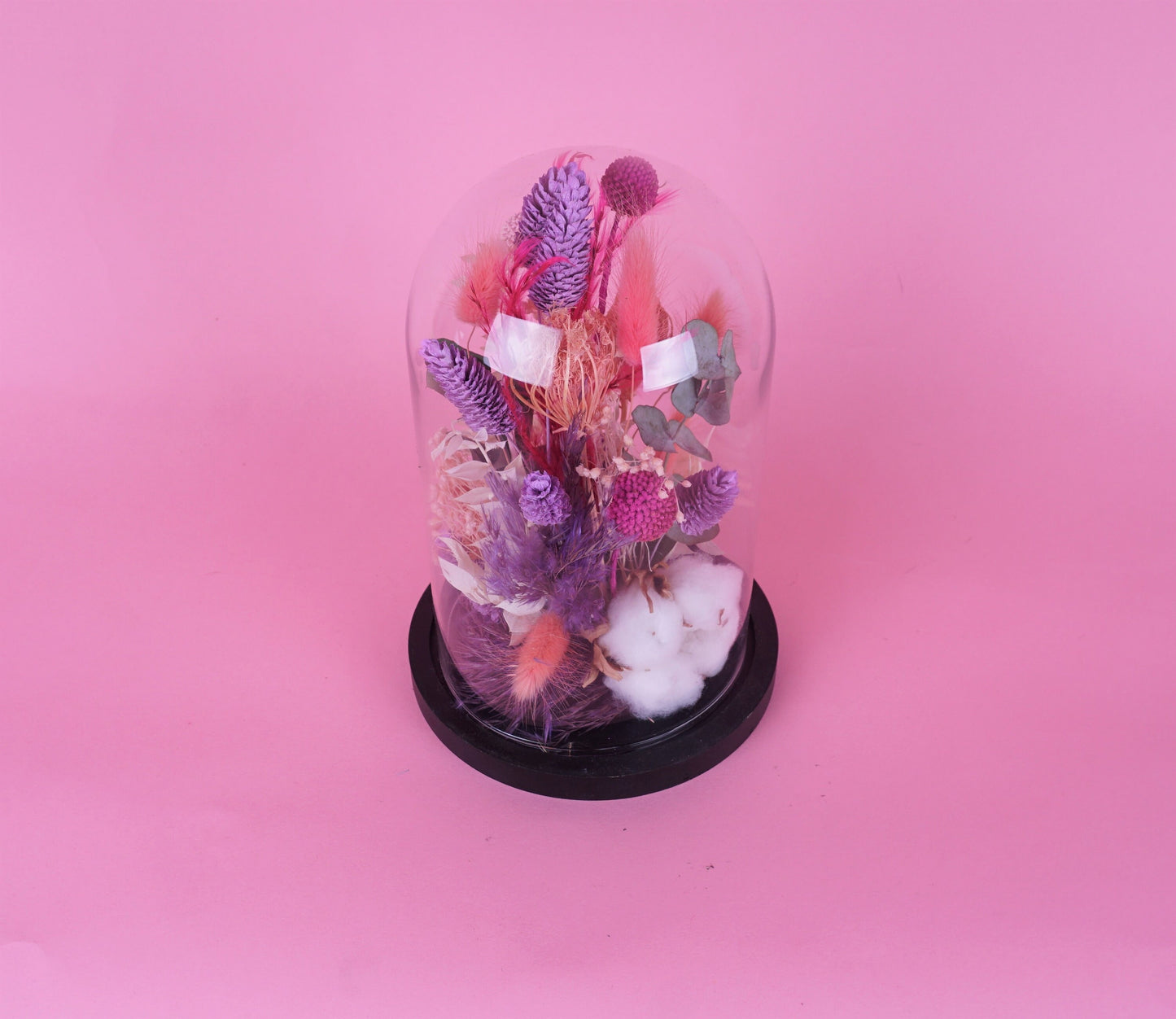 Glaskuppel Pinky
