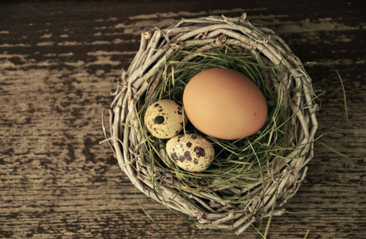 Workshop Osternest 05.04.2025 - 16:00