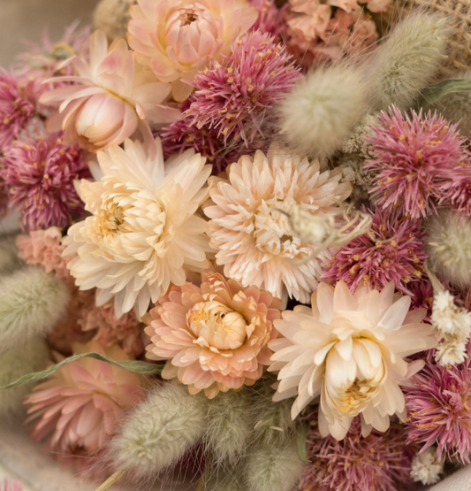 Workshop Trockenblumenwolke 20.05.2025 - 18:30 Uhr