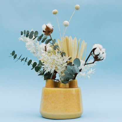 Sunchess Cotton - DIY