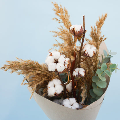 Trockenblumenstrauß Cotton Nature