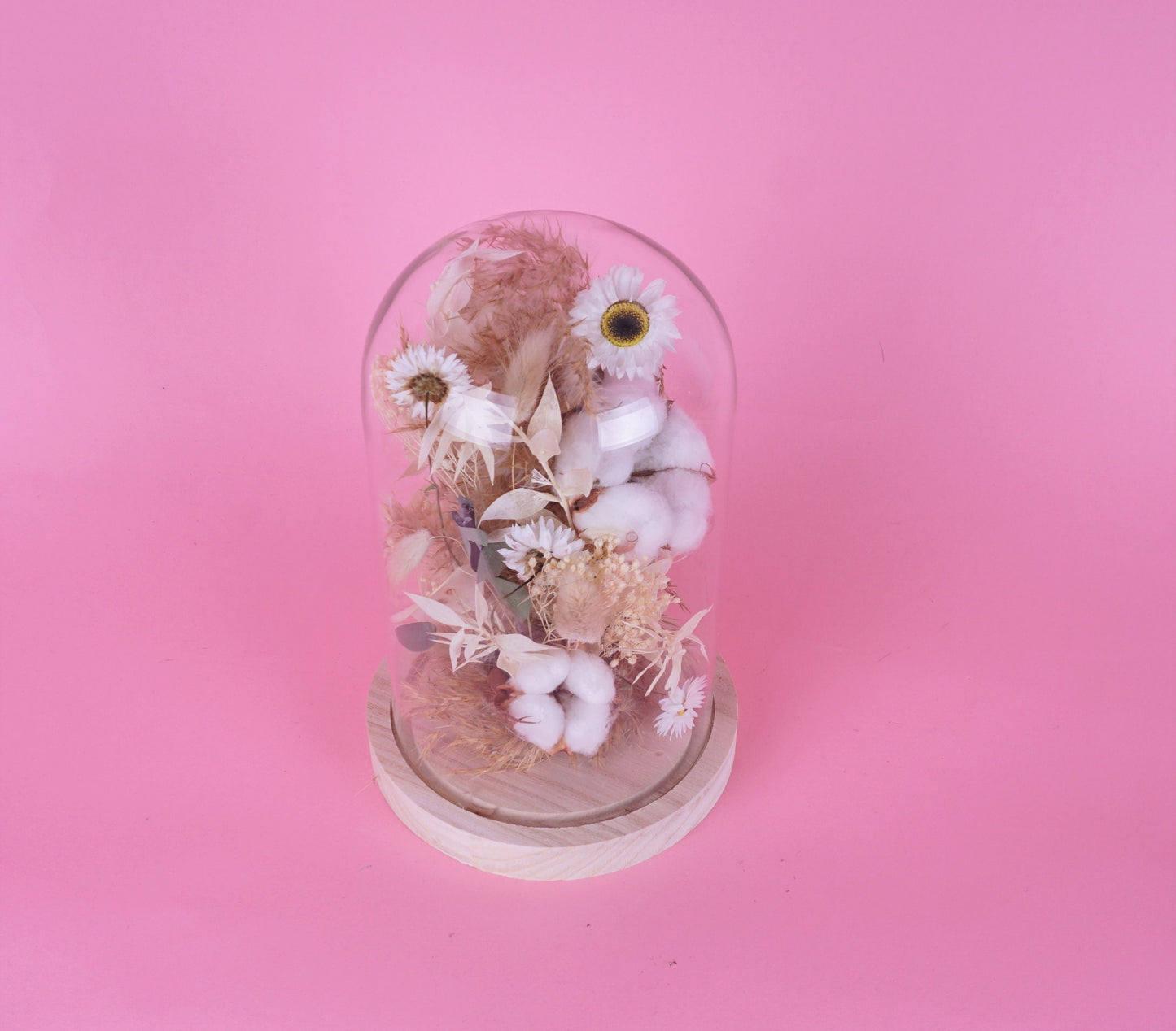 Glaskuppel Flora 2.0